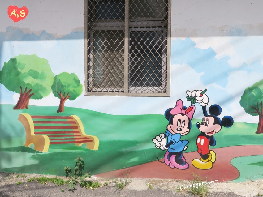 IMG_6800.JPG IMG_6800.JPG