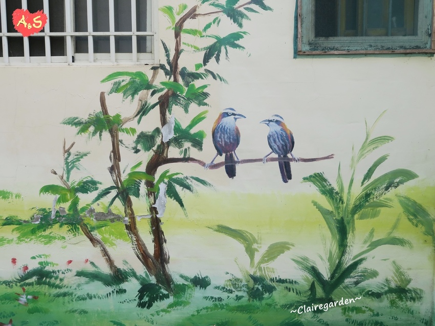 IMG_6716.JPG IMG_6716.JPG