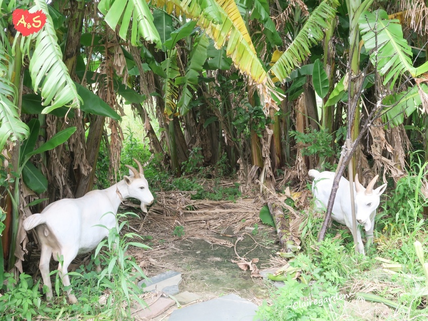 IMG_6787.JPG IMG_6787.JPG