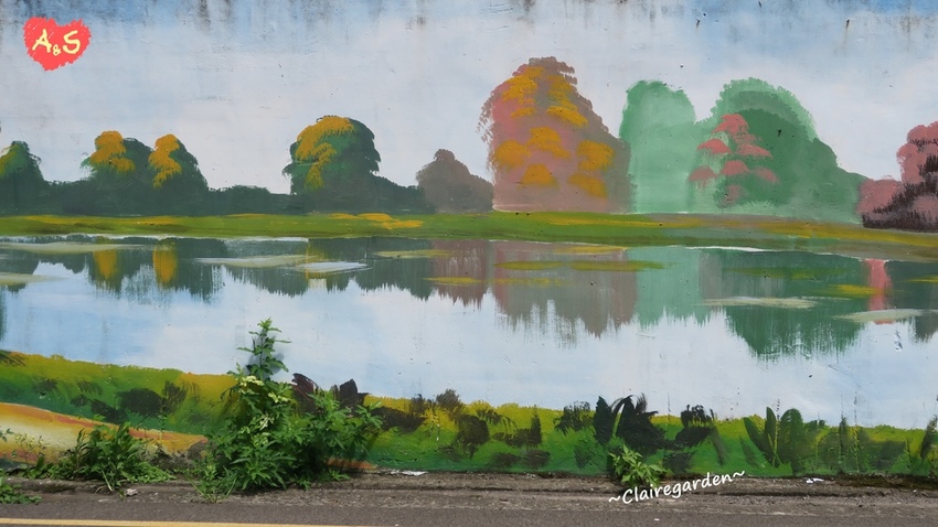 IMG_6851.JPG IMG_6851.JPG