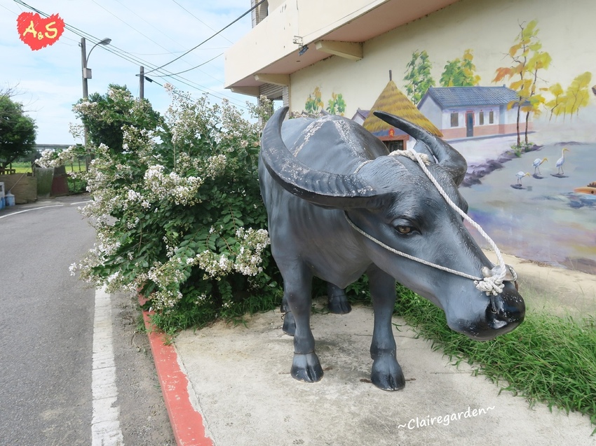 IMG_6697.JPG IMG_6697.JPG