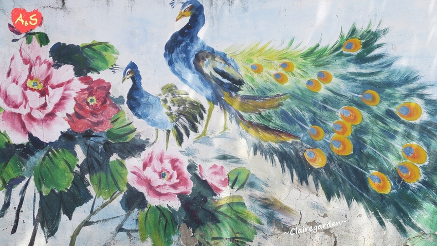 IMG_6886.JPG IMG_6886.JPG