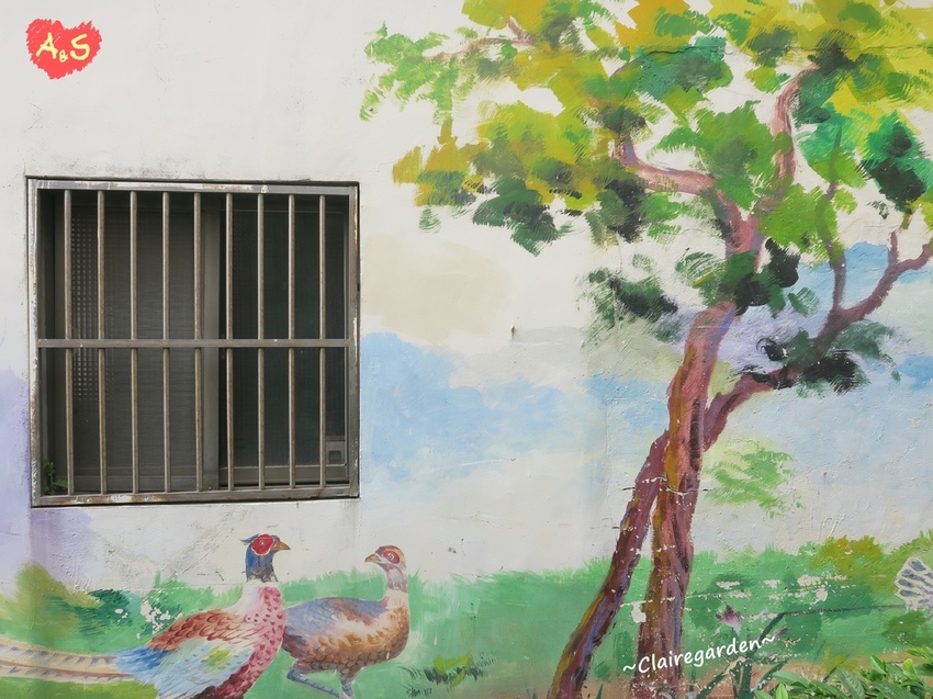 IMG_6715.JPG IMG_6715.JPG