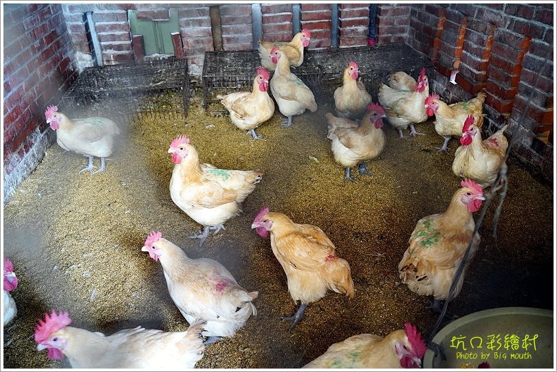 【桃園一日遊】坑口彩繪村．細膩畫風重現懷舊農村風情!機捷坑口站漫遊景點!