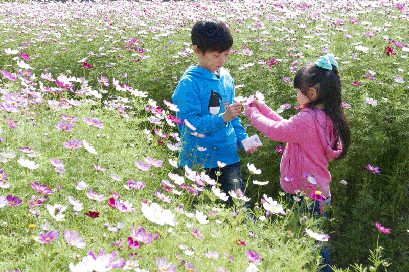 桃機捷運景點：農村風格的【坑口彩繪村】＠桃園蘆竹