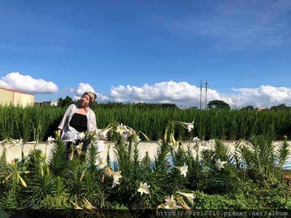 坑口彩繪村_200518_0039.jpg 坑口彩繪村_200518_0039.jpg