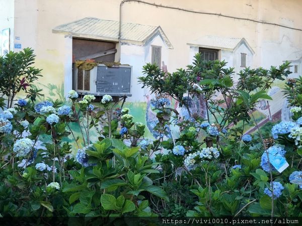 坑口彩繪村_200518_0053.jpg 坑口彩繪村_200518_0053.jpg