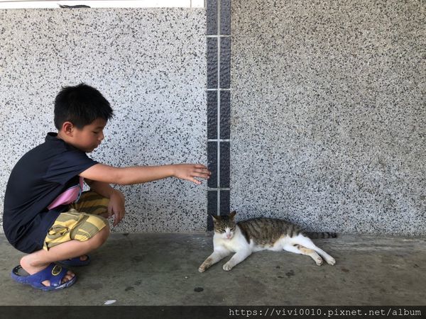 坑口彩繪村_200518_0002.jpg 坑口彩繪村_200518_0002.jpg