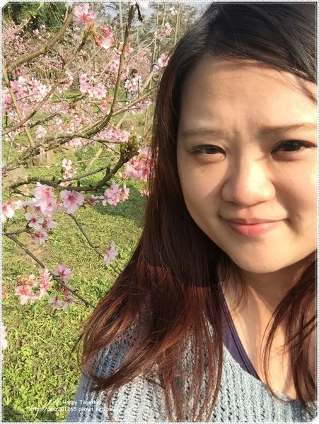 IMG_4968.JPG IMG_4968.JPG