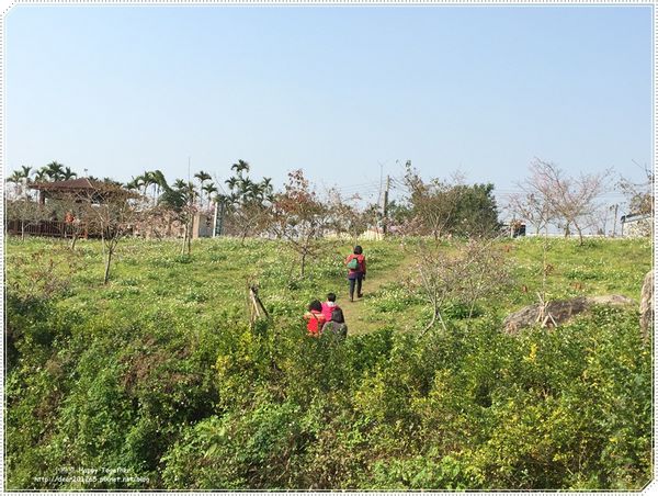 IMG_4946.JPG IMG_4946.JPG