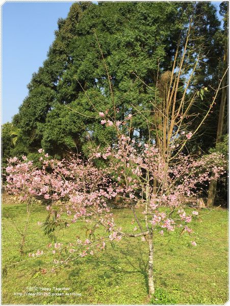 IMG_4966.JPG IMG_4966.JPG