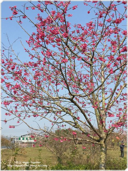 IMG_4941.JPG IMG_4941.JPG