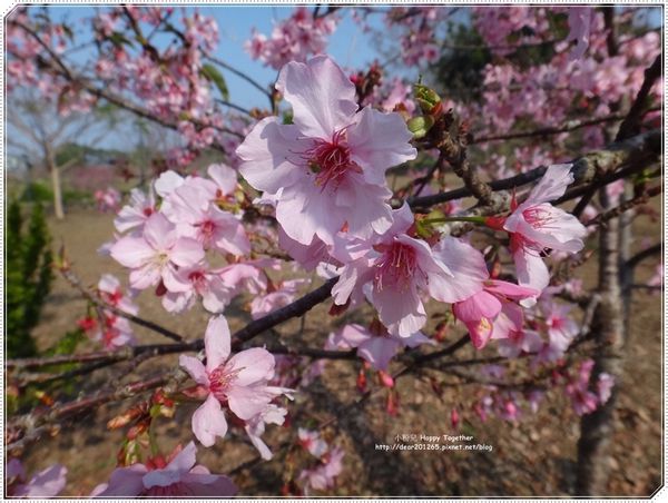 IMG_5773.JPG IMG_5773.JPG