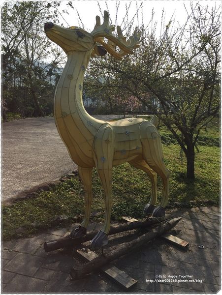 IMG_4964.JPG IMG_4964.JPG