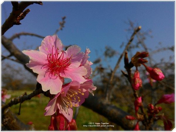 IMG_5767.JPG IMG_5767.JPG