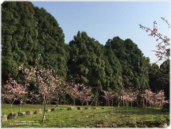 IMG_4961.JPG IMG_4961.JPG