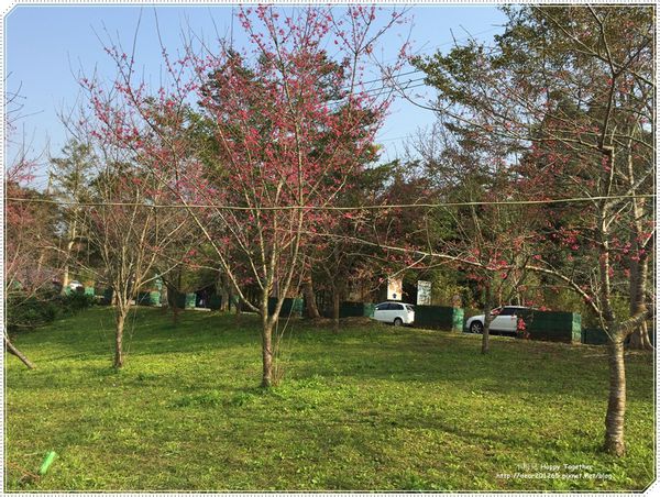 IMG_4954.JPG IMG_4954.JPG