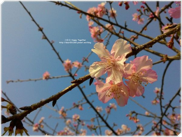 IMG_5766.JPG IMG_5766.JPG