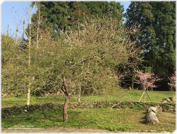 IMG_4959.JPG IMG_4959.JPG