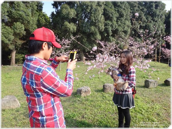 IMG_5780.JPG IMG_5780.JPG