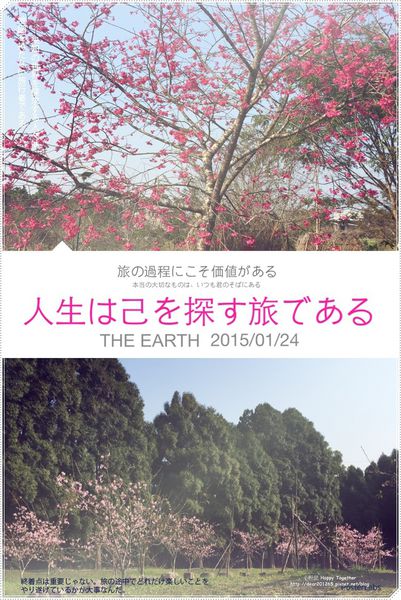 IMG_4999.JPG IMG_4999.JPG