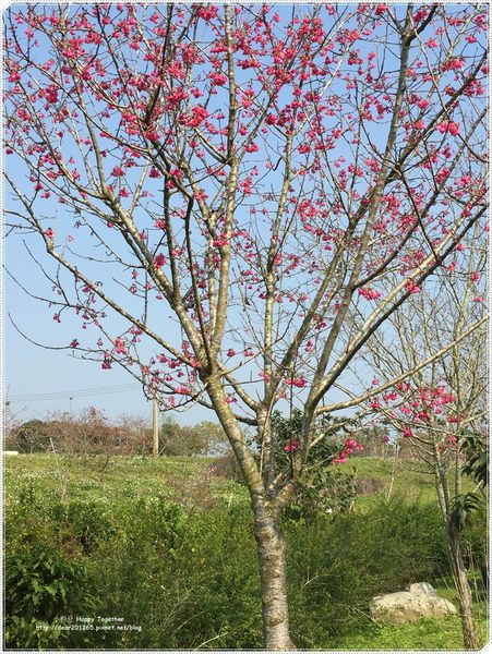 IMG_4943.JPG IMG_4943.JPG