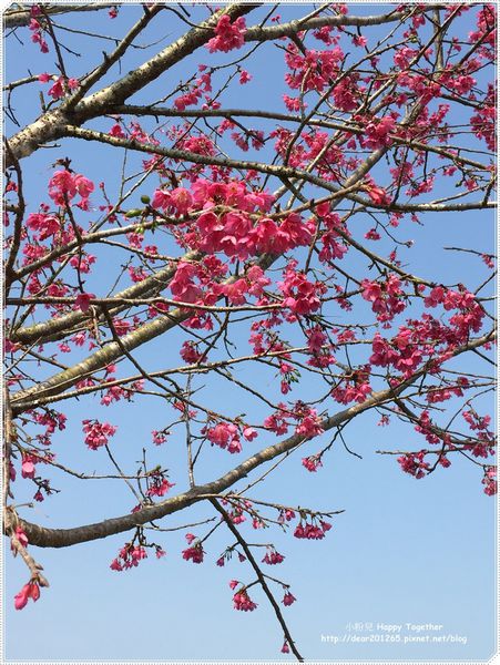 IMG_4942.JPG IMG_4942.JPG