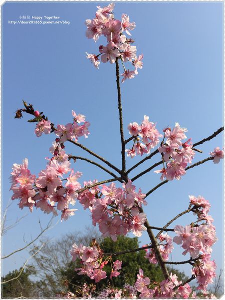 IMG_4935.JPG IMG_4935.JPG