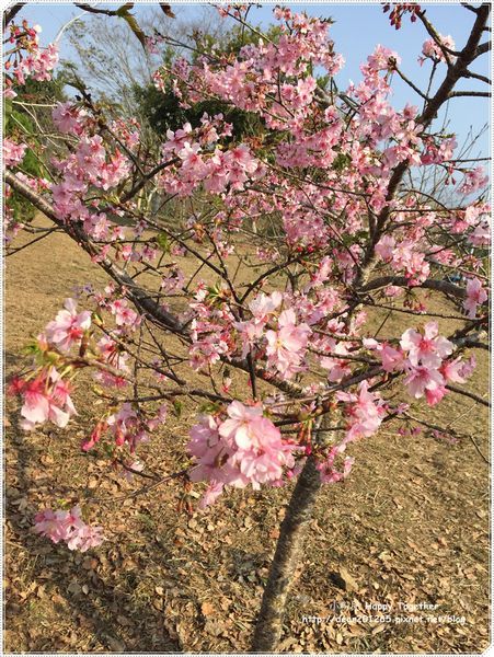 IMG_4936.JPG IMG_4936.JPG