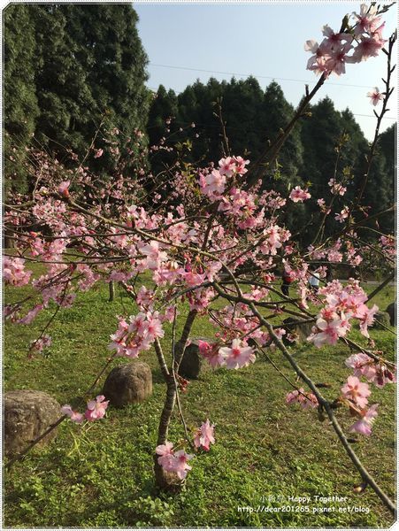 IMG_4967.JPG IMG_4967.JPG