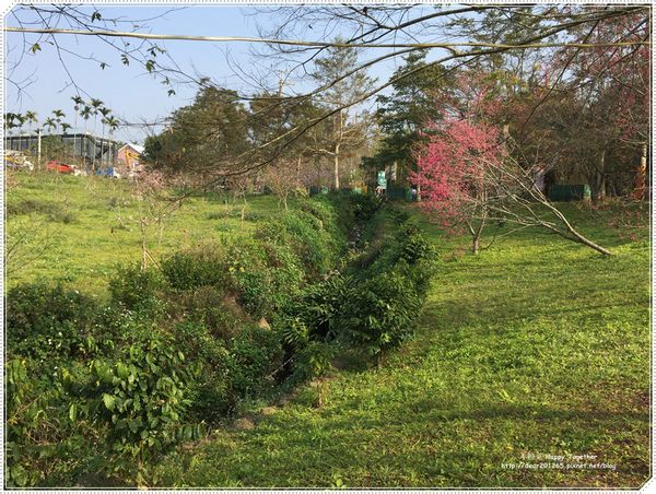 IMG_4952.JPG IMG_4952.JPG