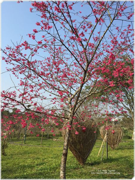 IMG_4956.JPG IMG_4956.JPG