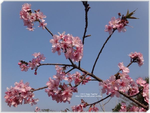 IMG_5777.JPG IMG_5777.JPG