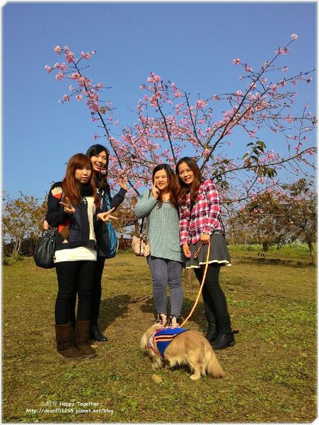 IMG_5520.JPG IMG_5520.JPG