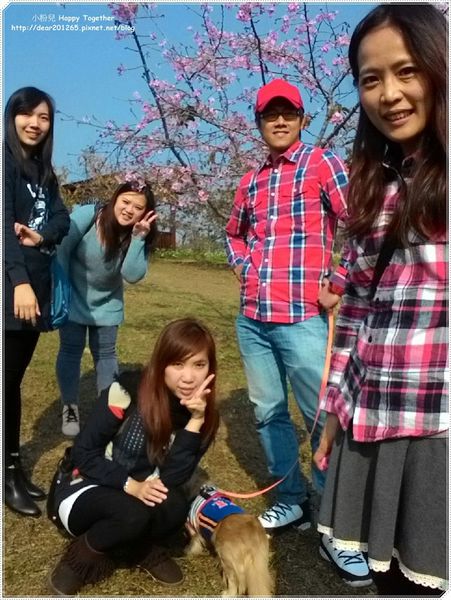 IMG_5528.JPG IMG_5528.JPG