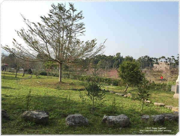 IMG_4955.JPG IMG_4955.JPG