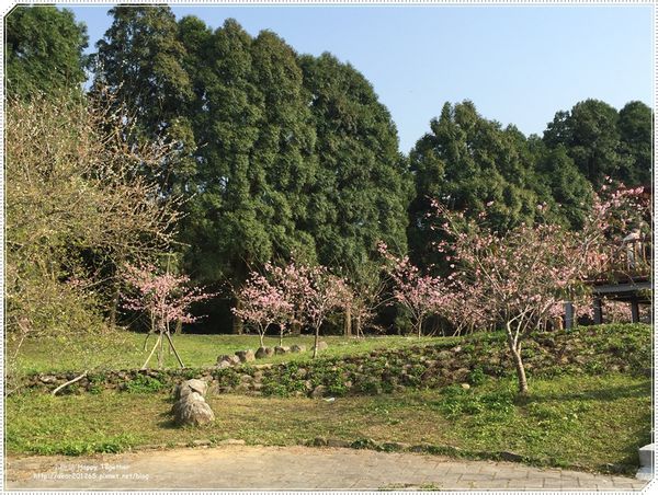 IMG_4958.JPG IMG_4958.JPG