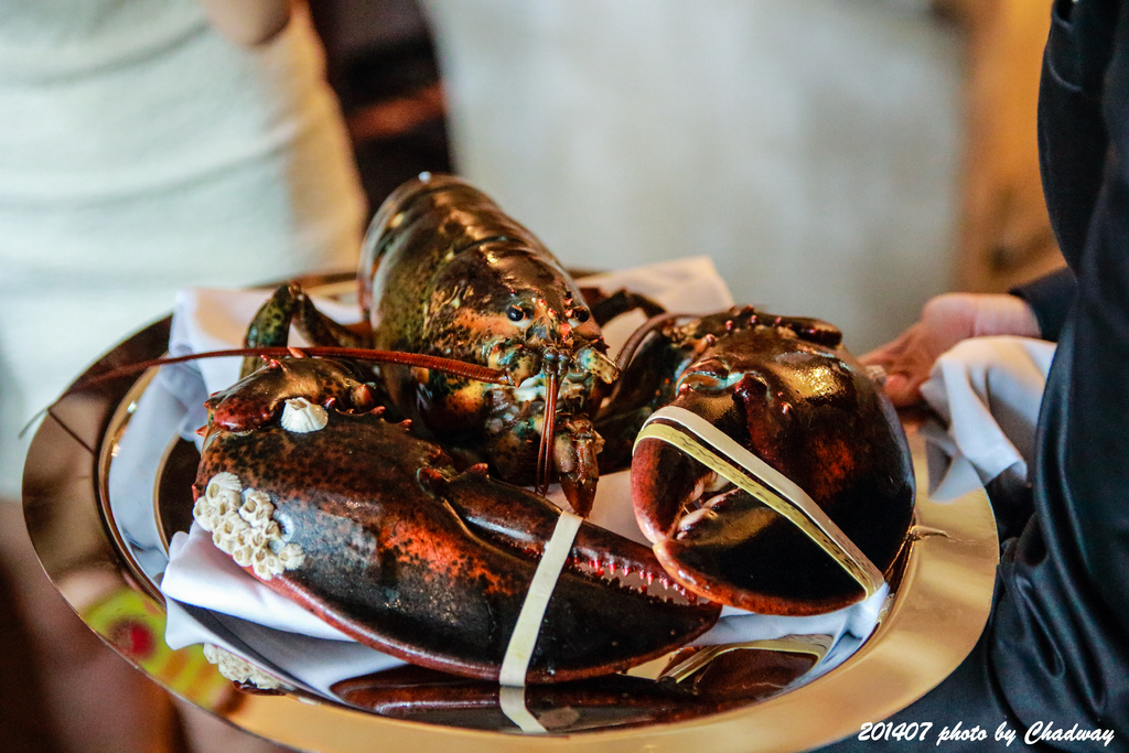 20140719-daily110051.jpg 20140719-daily110051.jpg