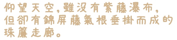 台北花卉村(Taipei Garden Mall)：【台北◍•ᴗ•◍社子】賞花・台北花卉村賞紫藤花2015・3/20花況✯親子DIY景點｜沉醉於紫藤花戀情