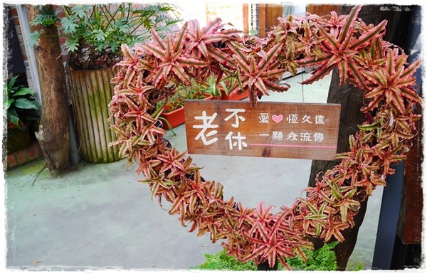 台北花卉村(Taipei Garden Mall)：【台北◍•ᴗ•◍社子】賞花・台北花卉村賞紫藤花2015・3/20花況✯親子DIY景點｜沉醉於紫藤花戀情