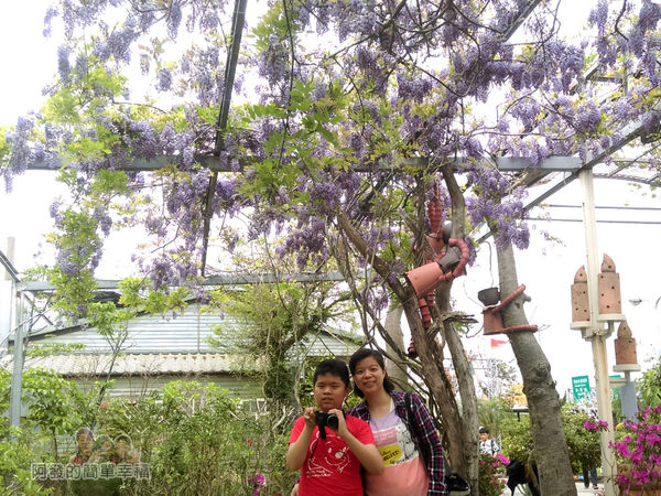 台北花卉村47-留影