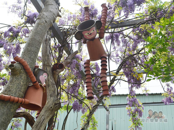 台北花卉村26-新娘禮車停車區(棚架區)-紫藤花叢中十分可愛生動的陶罐猴