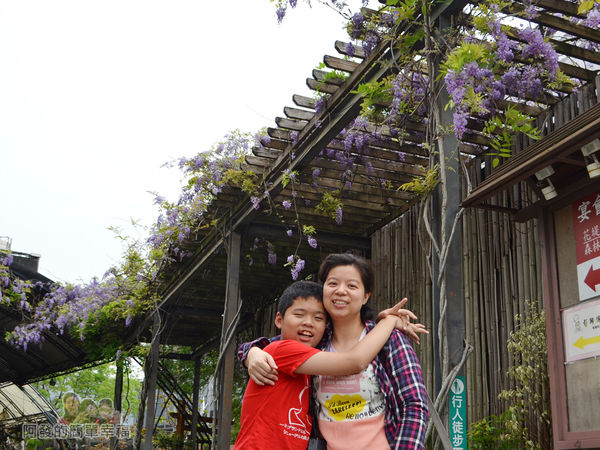 台北花卉村33-萬象廣場-屋簷下的紫藤花留影
