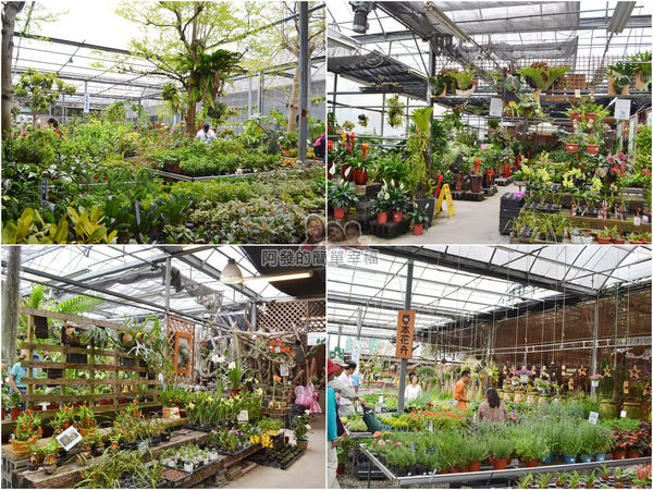 台北花卉村23-花庭園藝-組圖