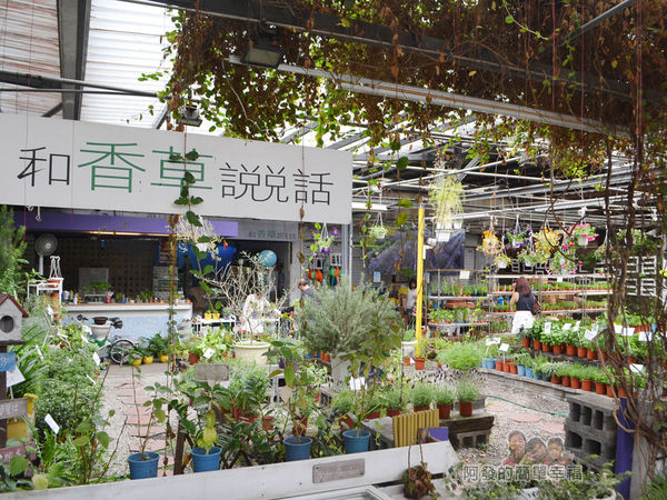 台北花卉村20-和香草說說話-入口