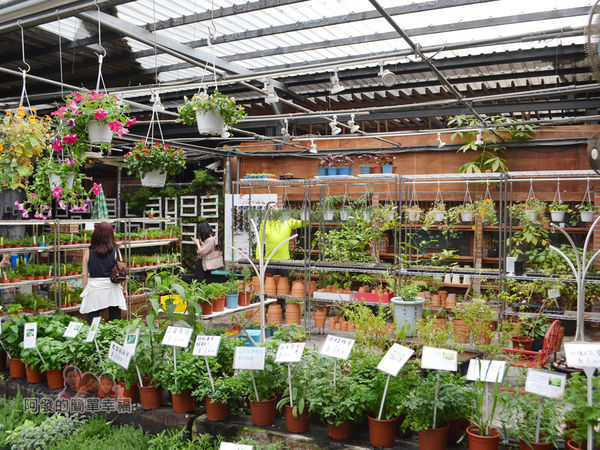 台北花卉村21-和香草說說話-提供各式香草植物香草副產品