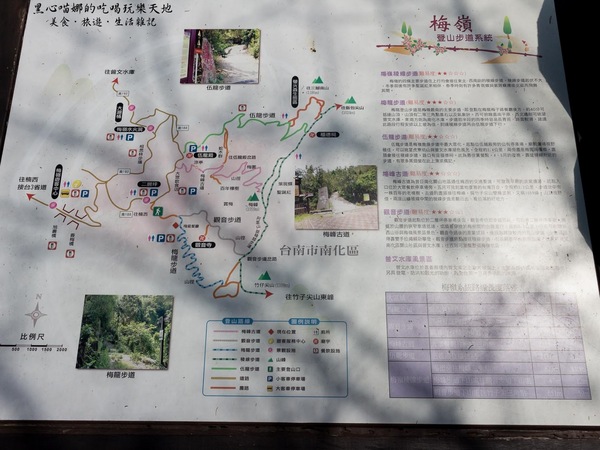 二層坪梅仔雞：台南楠西︱梅嶺賞花、二層坪梅仔雞餐廳　走！追隨春天的腳步拍花去！