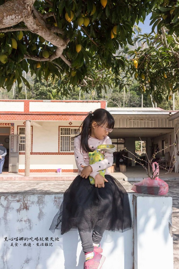 二層坪梅仔雞：台南楠西︱梅嶺賞花、二層坪梅仔雞餐廳　走！追隨春天的腳步拍花去！