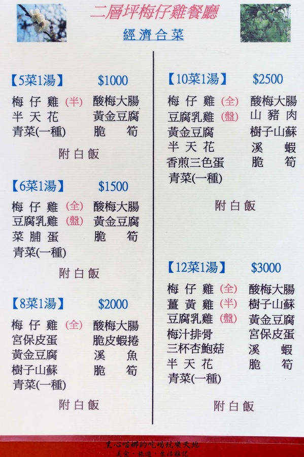 二層坪梅仔雞：台南楠西︱梅嶺賞花、二層坪梅仔雞餐廳　走！追隨春天的腳步拍花去！