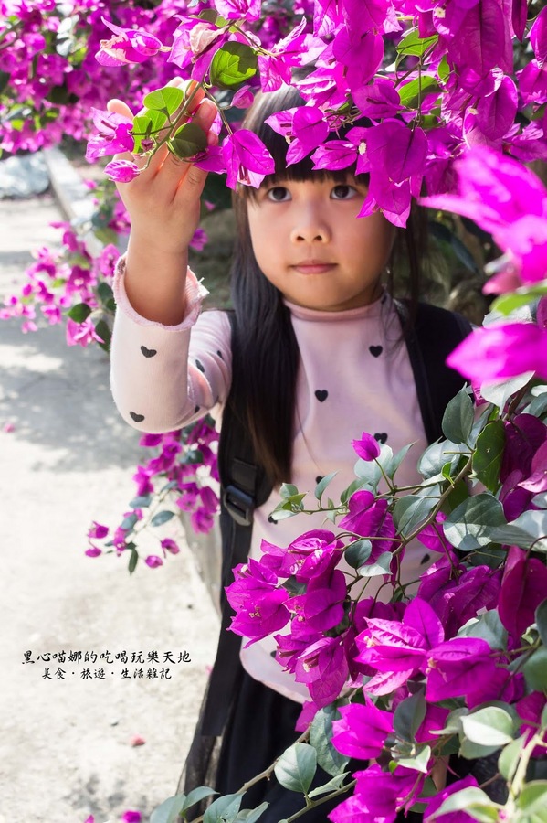 二層坪梅仔雞：台南楠西︱梅嶺賞花、二層坪梅仔雞餐廳　走！追隨春天的腳步拍花去！